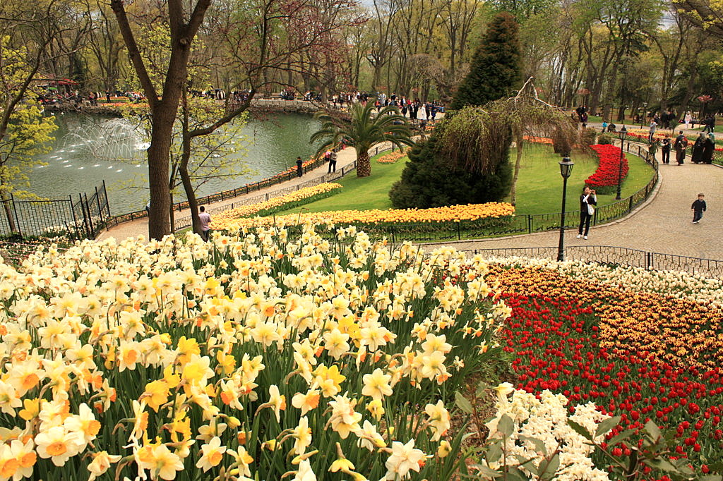The tulip time in Istanbul